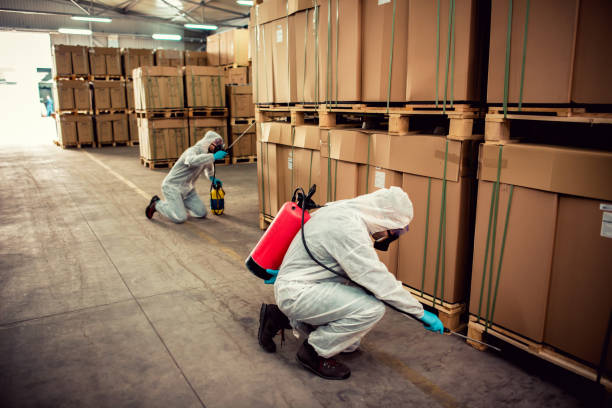Best Flea Control Services  in Memphis, MI