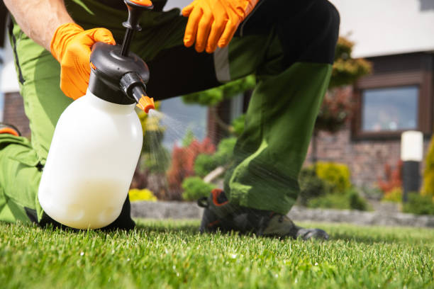 Best Affordable Pest Control Services  in Memphis, MI