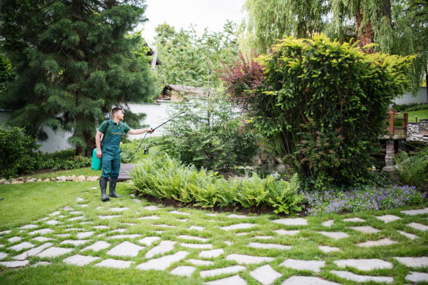 Best Mosquito Control Services  in Memphis, MI