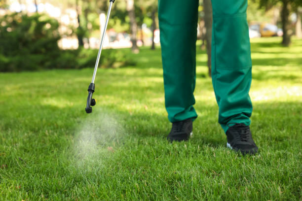 Best Pest Control Near Me  in Memphis, MI