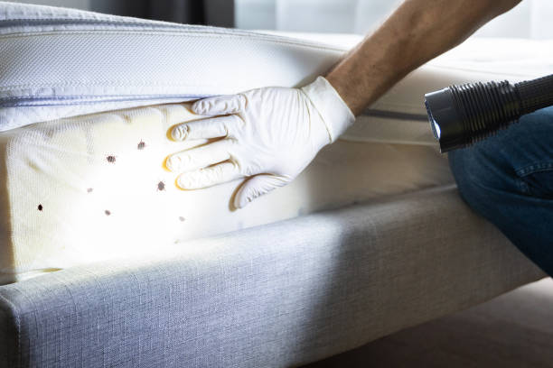 Best Exterminator Services  in Memphis, MI