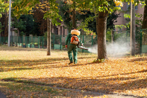 Best Rat Extermination Near Me  in Memphis, MI
