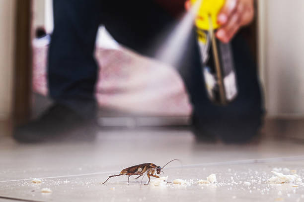 Trusted Memphis, MI Pest Control Experts