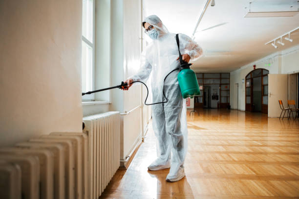 Best Bed Bug Extermination  in Memphis, MI