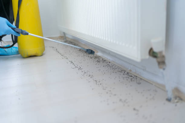 Pest Control for Restaurants in Memphis, MI