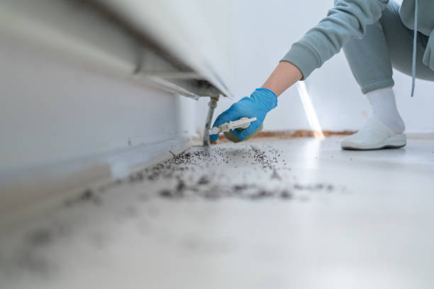 Pest Prevention Services in Memphis, MI